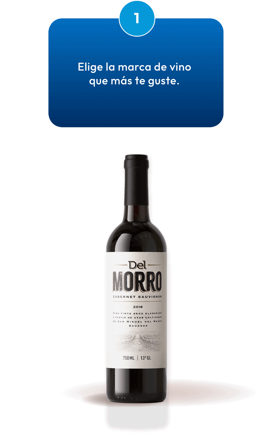 pe-vinos-paso_1